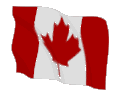 Canada Flag - CDIMC Canada